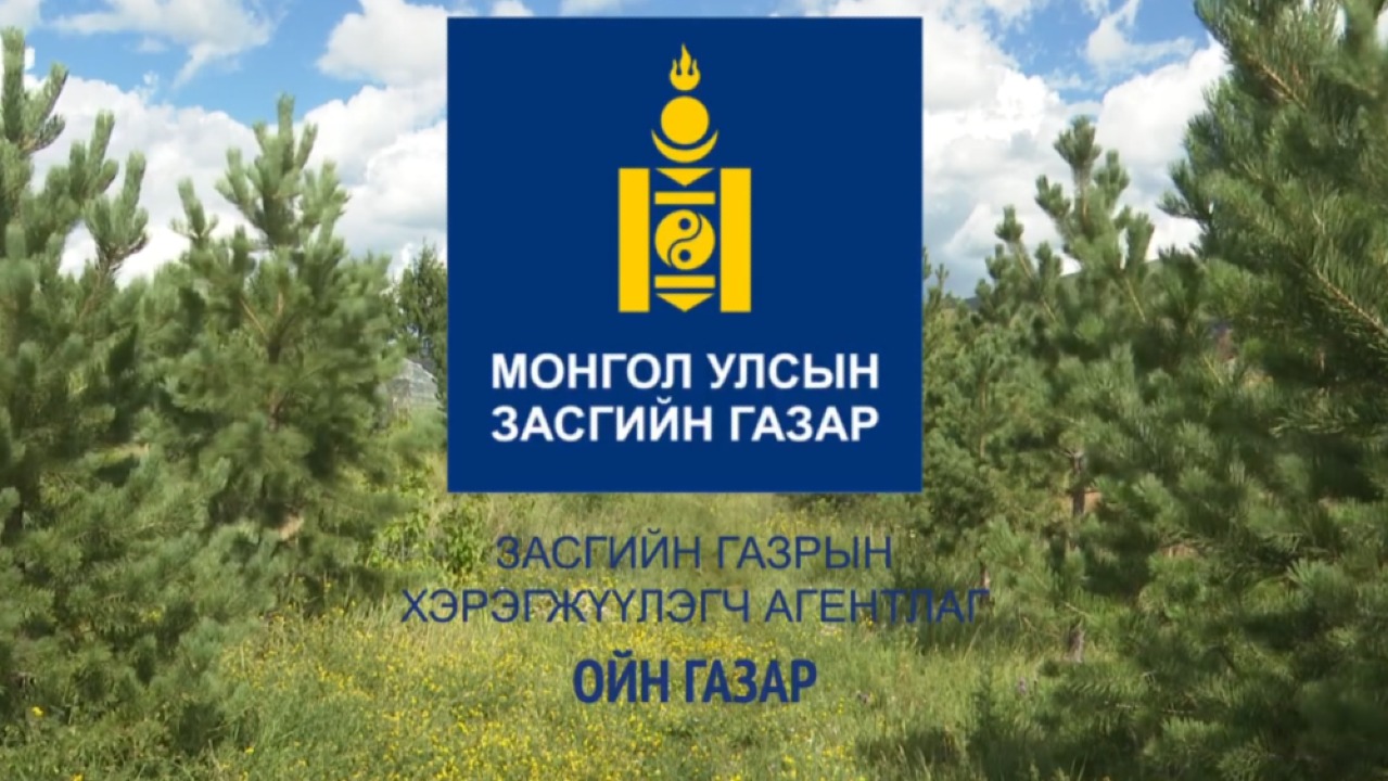 Монгол Улсын Засгийн Газрын хэрэгжүүлэгч агентлаг Ойн Газар болон Тэрбум мод нийгэмд үйлчлэх төрийн бус байгууллага ойн салбарт хамтран ажиллахаар 2024.11.08-ны өдөр харилцан ойлголцлын санамж бичиг байгууллаа.