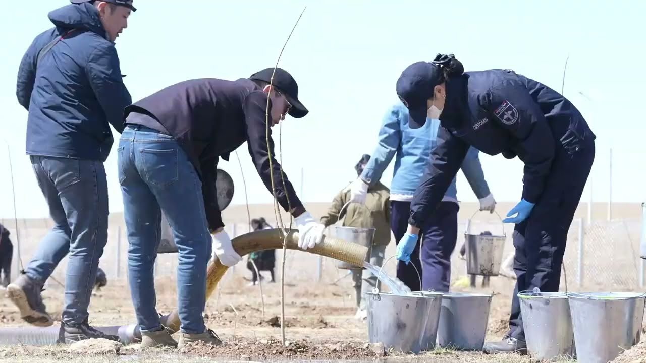 Агч модны төгөл байгууллаа