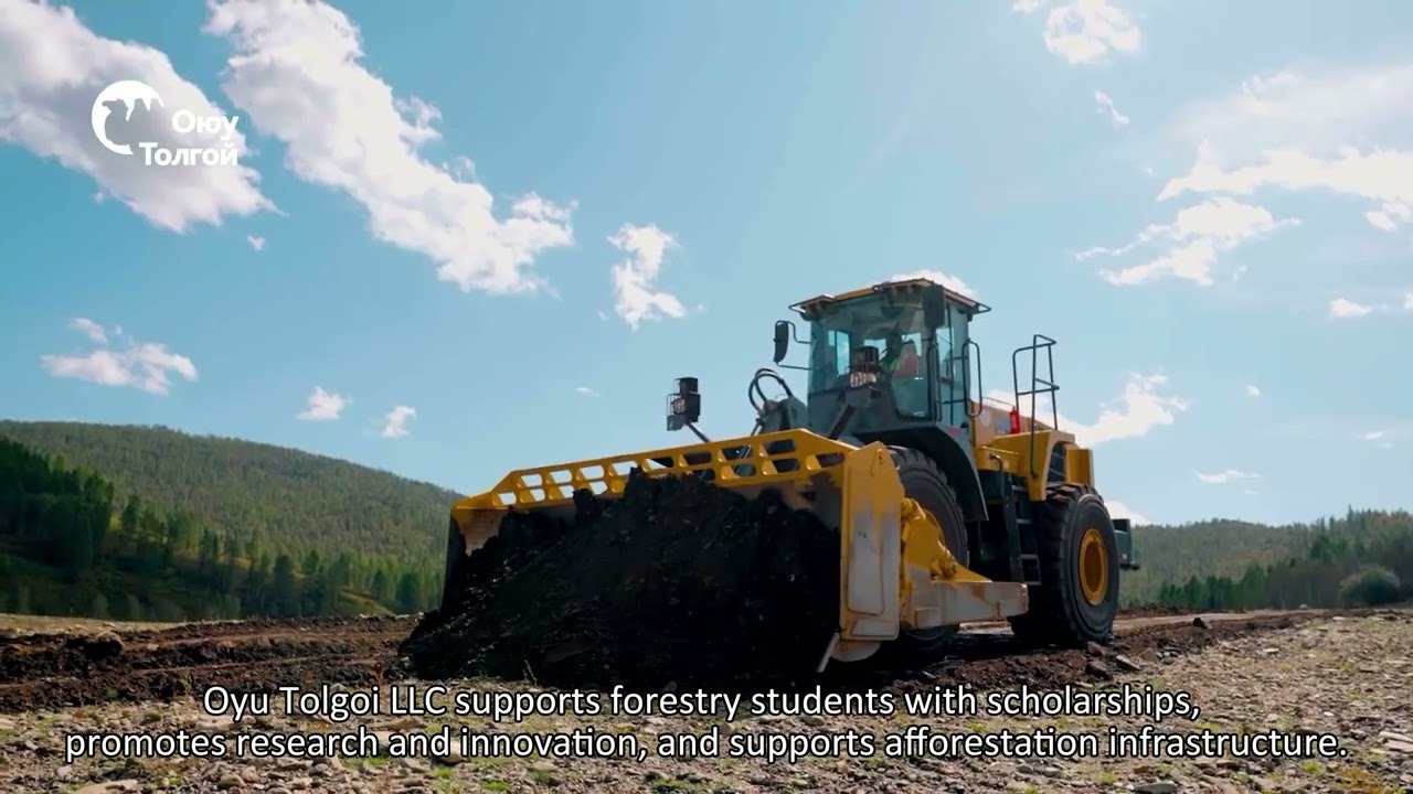 "Тэрбум мод" үндэсний хөдөлгөөний бэлтгэл үе шатны үр дүн