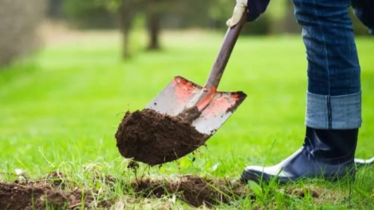 Мод тарих нүхийг хэрхэн бэлтгэх вэ?